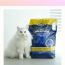 그루밍솔루션 개봉점 | 감자 폭탄 제조기?! 아메리칸솔루션 그랜드마스터 모래 써보니...