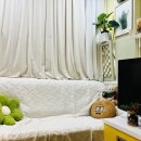 다온스킨케어 - 제주시 고마로 52 | 다온스킨케어