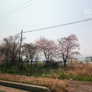 다산방펜션 이미지