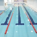 석전동242 이미지