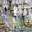 신성리 공룡발자국 이미지