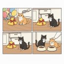 털뭉치들 이미지