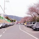 진해중앙고삼거리 이미지