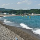 전촌솔밭해수욕장 이미지