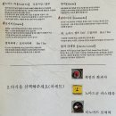 티노마드