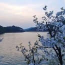 물댄동산 이미지