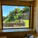 멀리 제주 | 제주 독채풀빌라 멀리제주 온수풀까지 즐겼던 2박 솔직후기