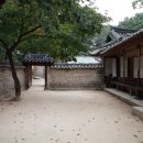 비원
