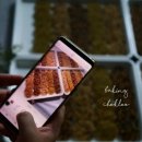 곡물공방
