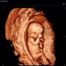 제일미즈여성의원 이미지