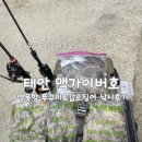 영목항 | [태안] 태안쭈꾸미낚시,갑오징어낚시 평일 영목항 맥가이버호 출조 후기