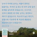 250519 눕지않기(5/18)미션 후기/우선순위3개 후기