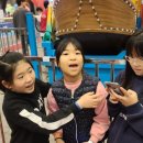 월드화랑태권도장 이미지