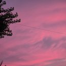 안암역 2번출구 이미지