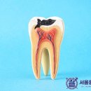 다모아치과의원 이미지