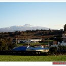 대평올레민박 이미지