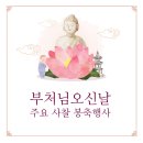 부처님오신날점등식과군민화합을위한연등문화축제 | 2026년 부처님오신날 주요 사찰 봉축 행사 : 연등회 일정부터 명소 방문팁까지!