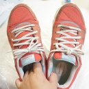 햇볕 세탁 이미지