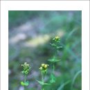 섬말공원2 이미지