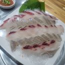 99종합어시장