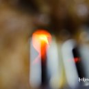 농부숯불갈비 이미지