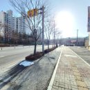 중로(보)2-2-4 이미지