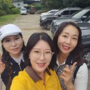 북구시니어클럽 | 🌿 첫 필드, 첫 짜릿함! – 보성 ‘그린 티 하우스’에서의 파크골프 현장 실습기 ⛳