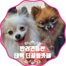 더끌림카페