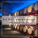 세계술문화박물관 | [중국 옌타이] 연태 관광지 - 장유(장위) 술 문화 박물관, 장유 와이너리 솔직후기