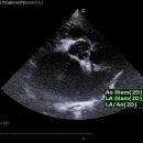 워너비동물병원 용산점 이미지