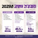 24시루시드동물메디컬센터 | 24시 루시드동물메디컬센터 동대문점 고양이 건강검진 후기