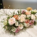 라떼플로라 이미지