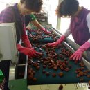 지리산농협 농산물산지유통센터 이미지