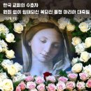 12월 8일 금요일 (한국 교회의 수호자, 원죄 없이 잉태되신 동정 마리아 대축일) 이미지