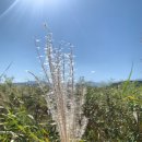 죽정습지 이미지