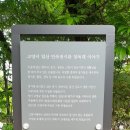 일산4리 이미지