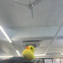 판도라 노래연습장 이미지