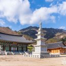 미륵대흥사 - 1206 | 미륵대흥사