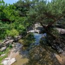 대야펜션 이미지