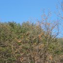 화수분상회 이미지