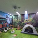 옥동초등학교 병설유치원 이미지