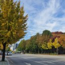 오금로219(방이고분군) 이미지