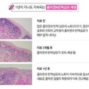해봄샵