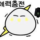 제일의료기상사 이미지