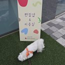 꾸꾸멈머 이미지