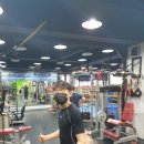 용인대에이스복싱클럽 이미지