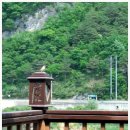 참새민박 이미지