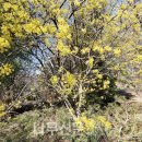 나무와창 이미지