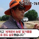 세계농약사 이미지