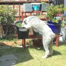 태식농장 이미지